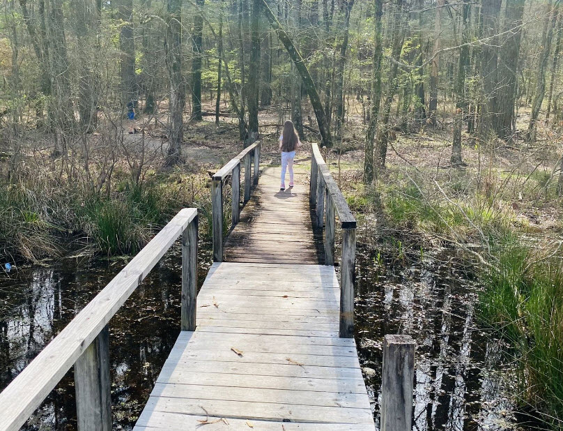 Simmons Arboretum, United States